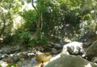 Um passeio imperdível: as Cachoeiras do Rio da Prata de Campo Grande