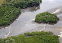 Vazamento misterioso de óleo atinge Rio Piraquê em Pedra de Guaratiba