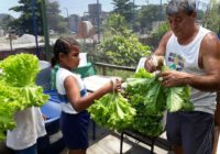 Professor se destaca cultivando hortas nas escolas de Campo Grande   