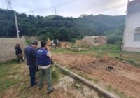 Inea demoliu  construções irregulares no Parque da Pedra Branca em Realengo
