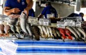 Aprenda cinco truques simples para garantir o melhor peixe para a Semana Santa Aprenda cinco truques simples para garantir o melhor peixe para a Semana Santa