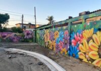 Campo Grande ganha mural com grafite pintado por artista baiano