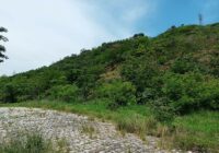 Serra da Posse entra no rol do Programa de reflorestamento na Zona Oeste